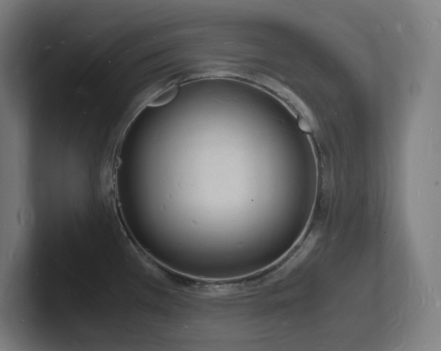 X0000102781385200808181141