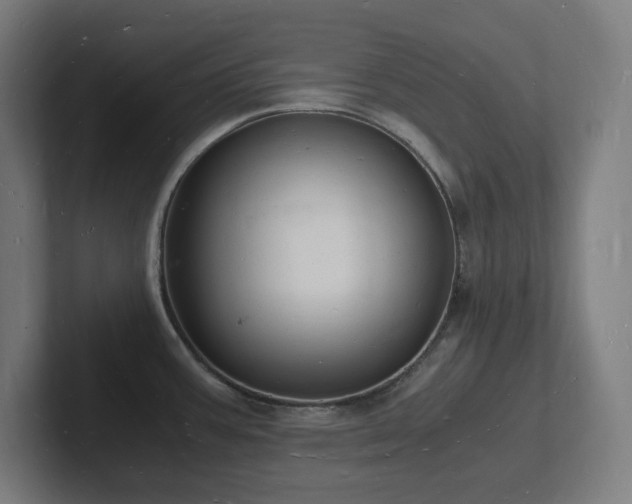 X0000102781387200808181141