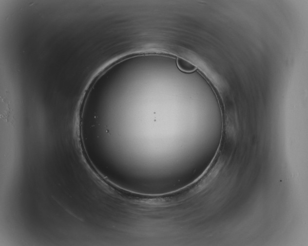 X0000102781388200808181141