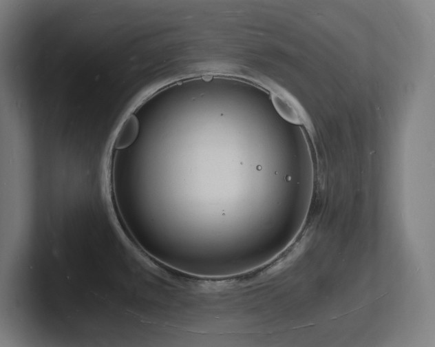 X0000102781389200808181141