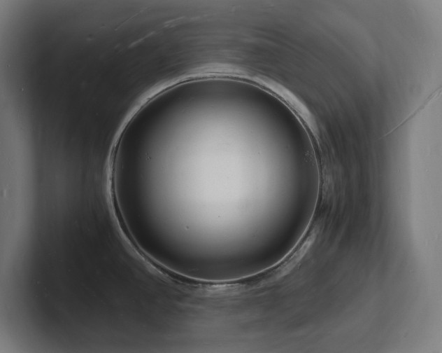 X0000102781390200808181141