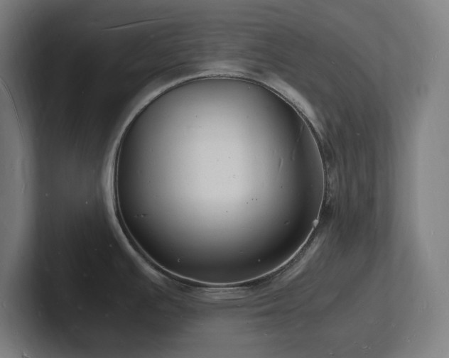 X0000102781391200808181141