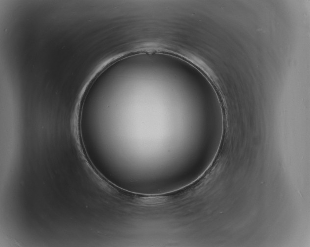 X0000102781392200808181141