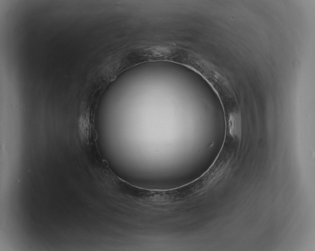 X0000102781395200808181140