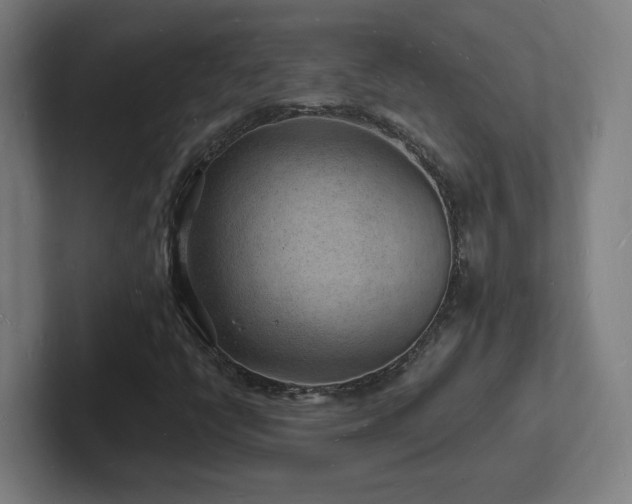 X0000102781398200808181140