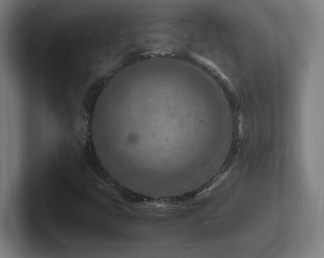 X0000102781399200808181140