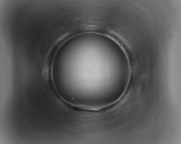 X0000102781402200808181140