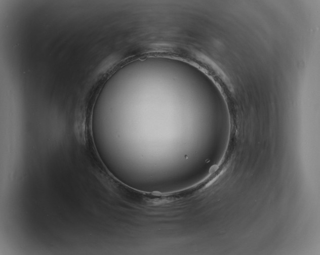 X0000102781403200808181140