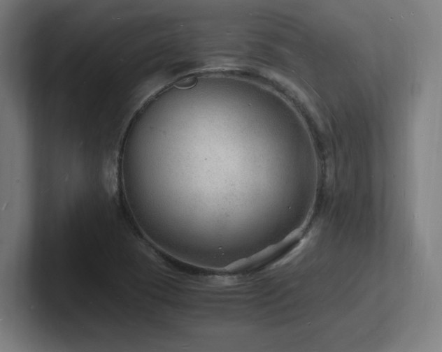 X0000102781409200808181140