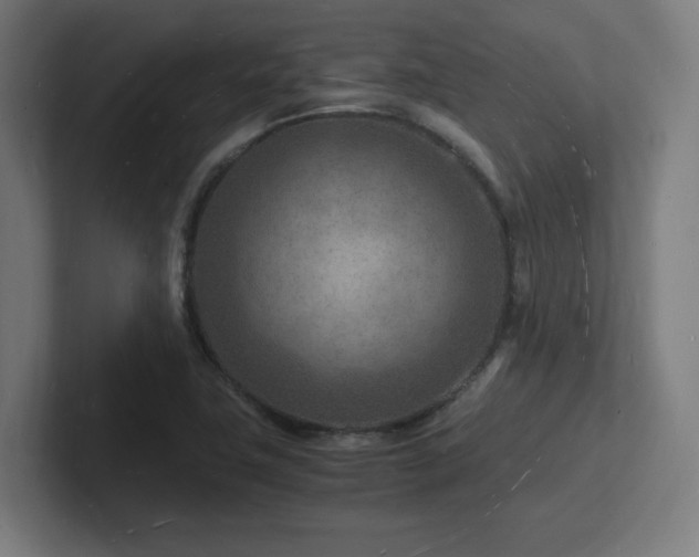 X0000102781411200808181140