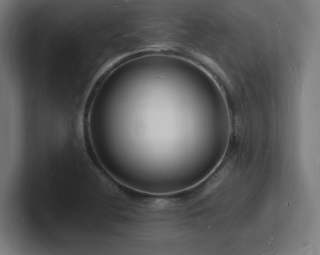 X0000102781412200808181140