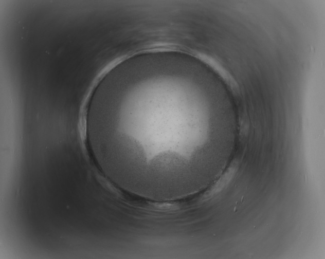 X0000102781413200808181140