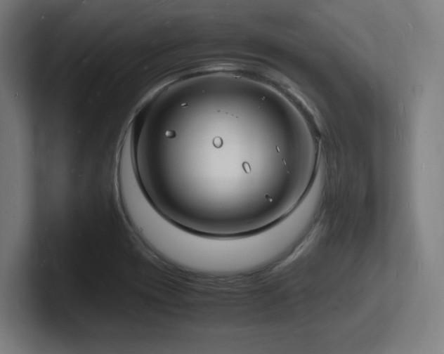 X0000102781417200808181140