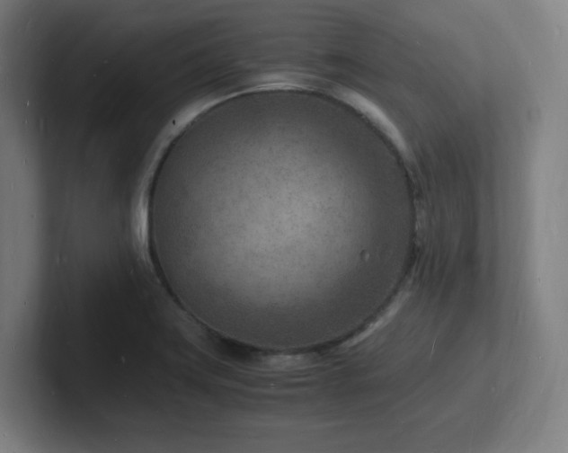 X0000102781419200808181140