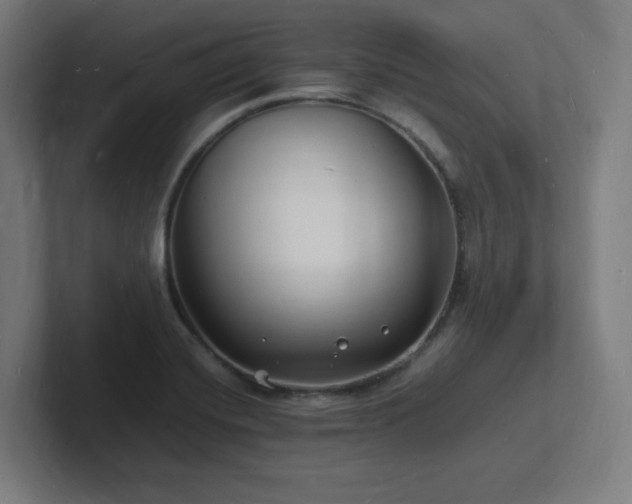 X0000102781420200808181140