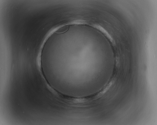 X0000102781421200808181140