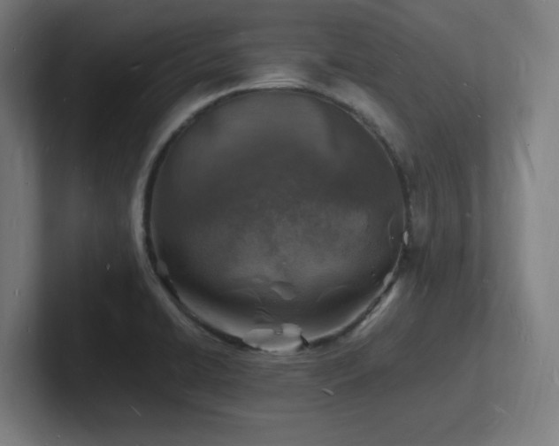 X0000102781422200808181140