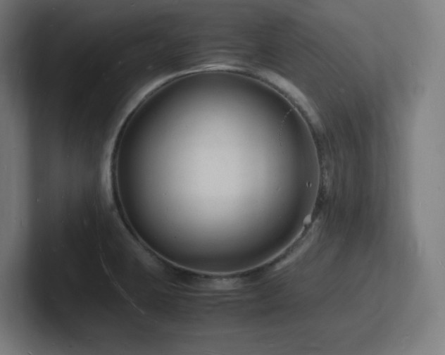 X0000102781423200808181140