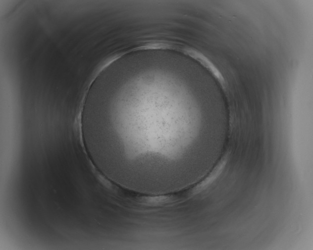 X0000102781425200808181140