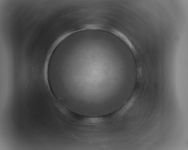 X0000102781427200808181140