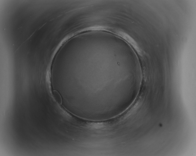 X0000102781428200808181140