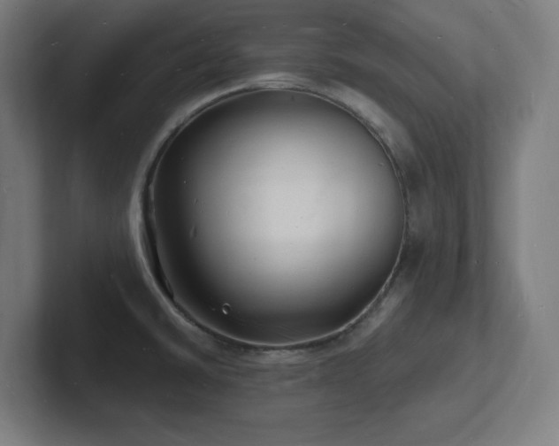 X0000102781430200808181140