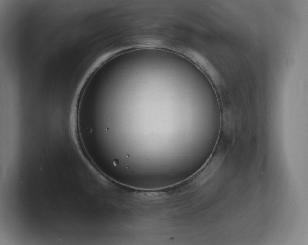 X0000102781432200808181140