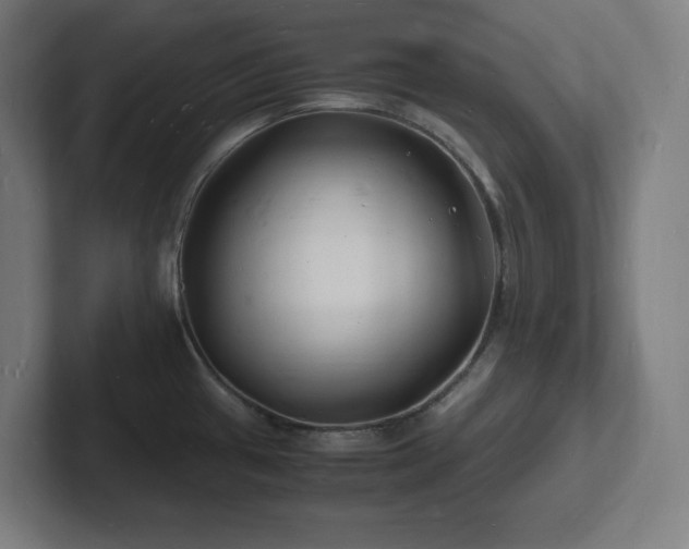 X0000102781433200808181140