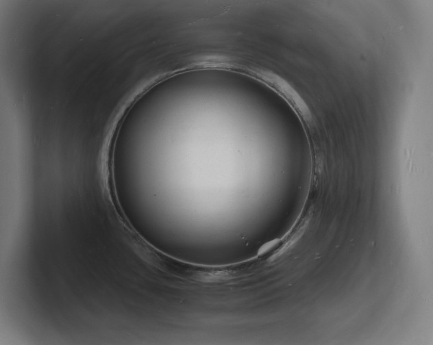 X0000102781435200808181140