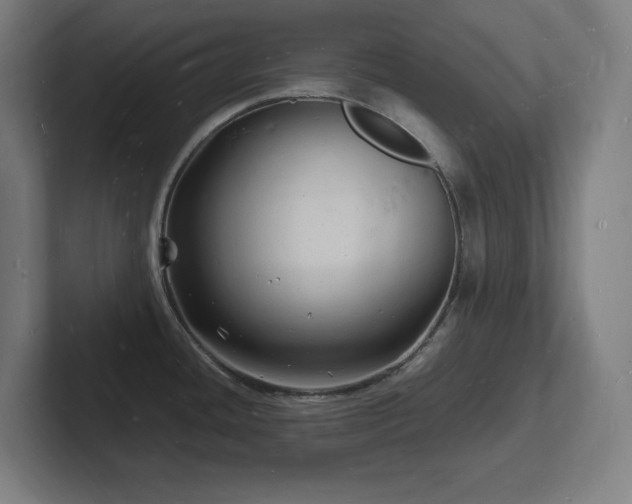 X0000102781436200808181140