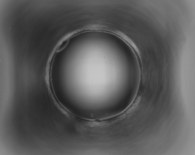 X0000102781437200808181140