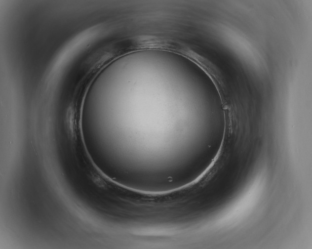 X0000102781438200808181141