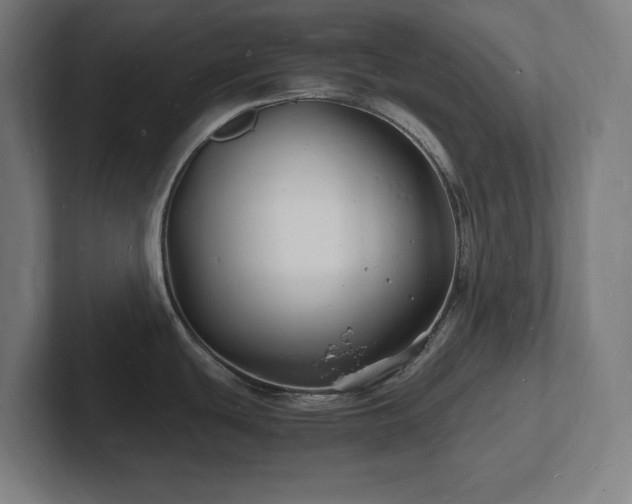 X0000102781439200808181141