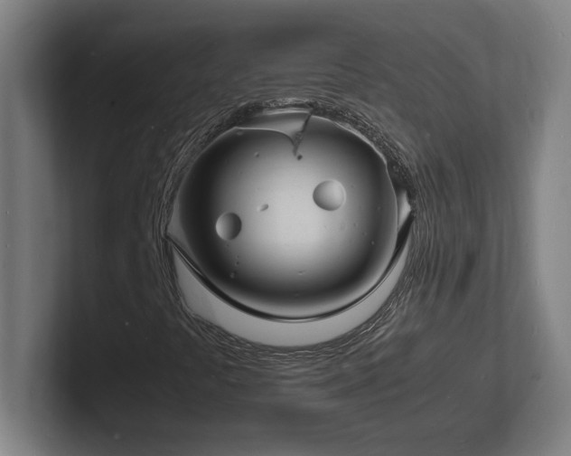 X0000102781441200808181140