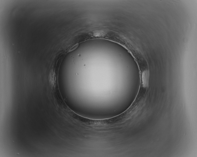 X0000102781443200808181140