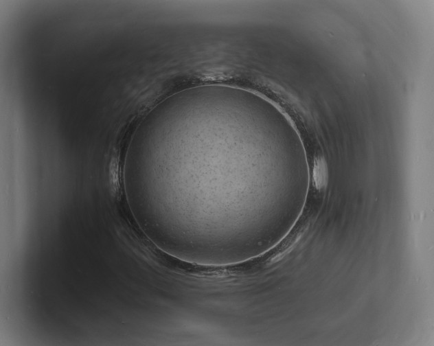 X0000102781444200808181140