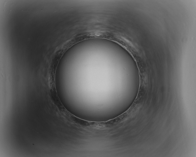 X0000102781446200808181140