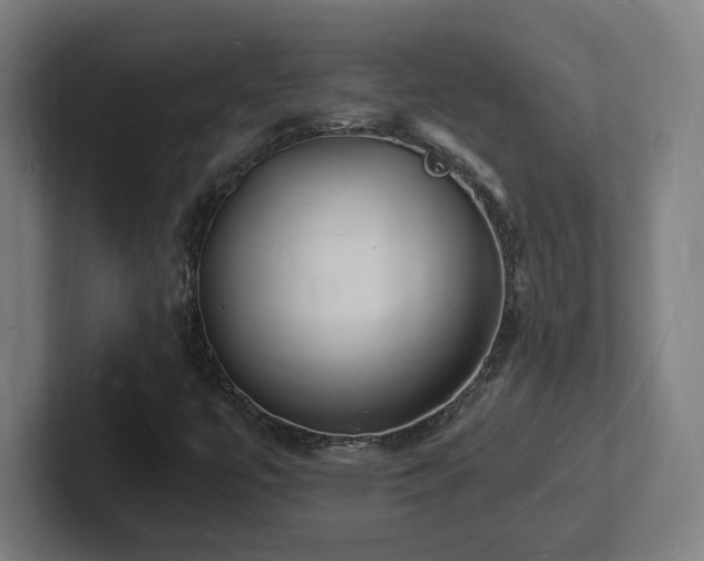 X0000102781447200808181140