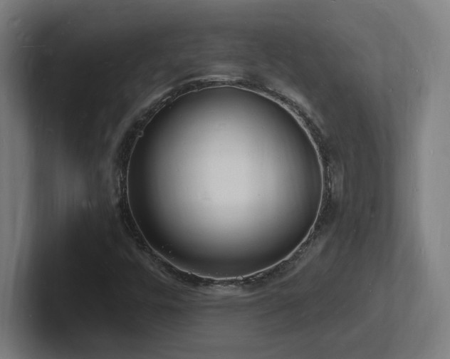 X0000102781448200808181140