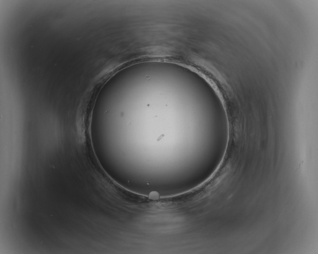 X0000102781451200808181140