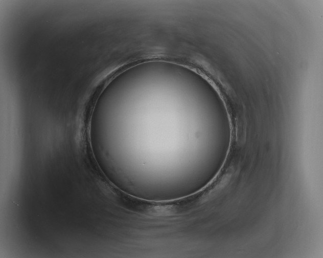 X0000102781453200808181140