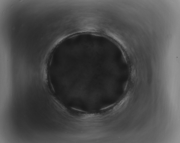 X0000102781455200808181140