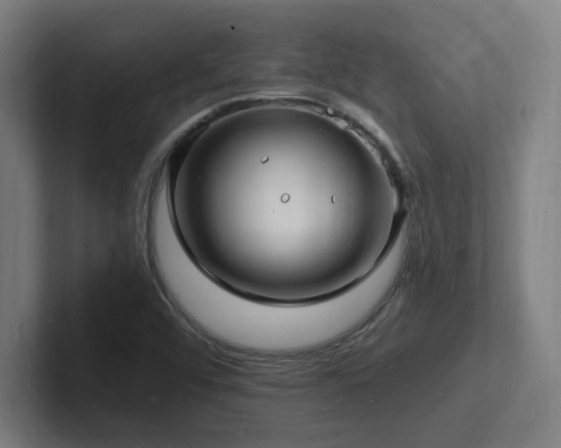 X0000102781456200808181140