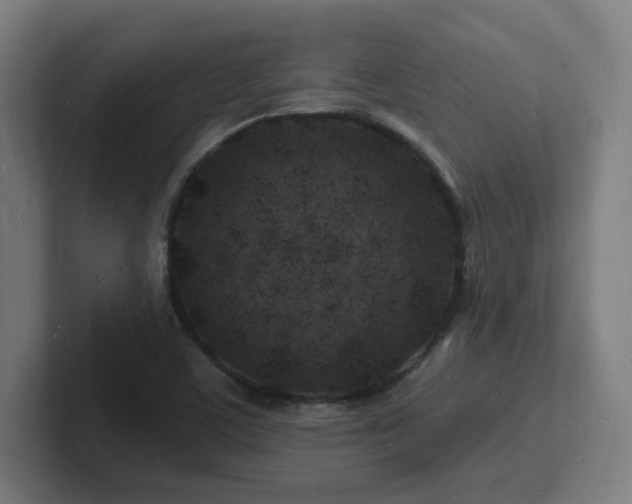 X0000102781459200808181140