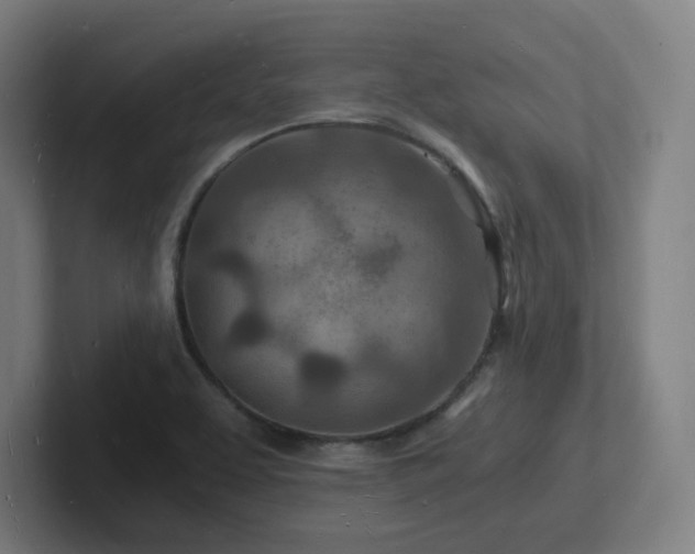 X0000102781463200808181140