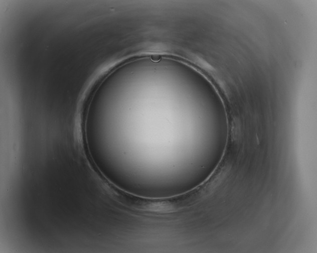 X0000102781464200808181140