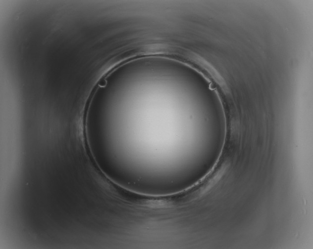 X0000102781465200808181140