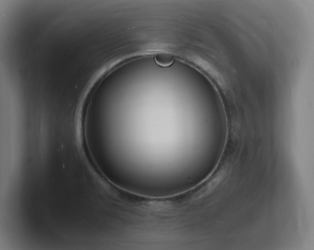 X0000102781469200808181140