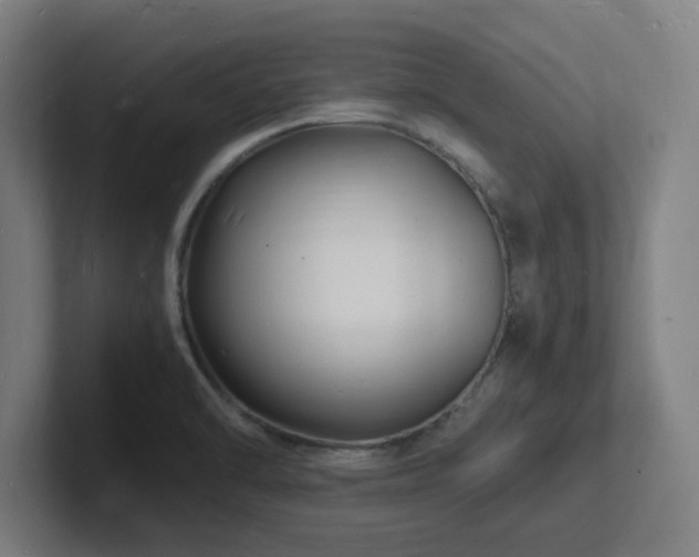 X0000102781470200808181140