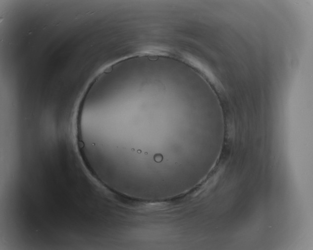 X0000102781471200808181140